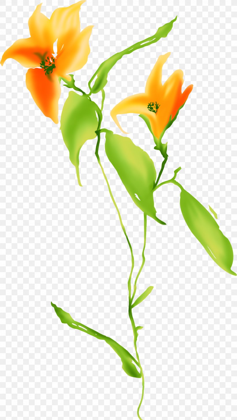 Flower Color Orange, PNG, 2289x4051px, Flower, Art, Branch, Bud, Color Download Free