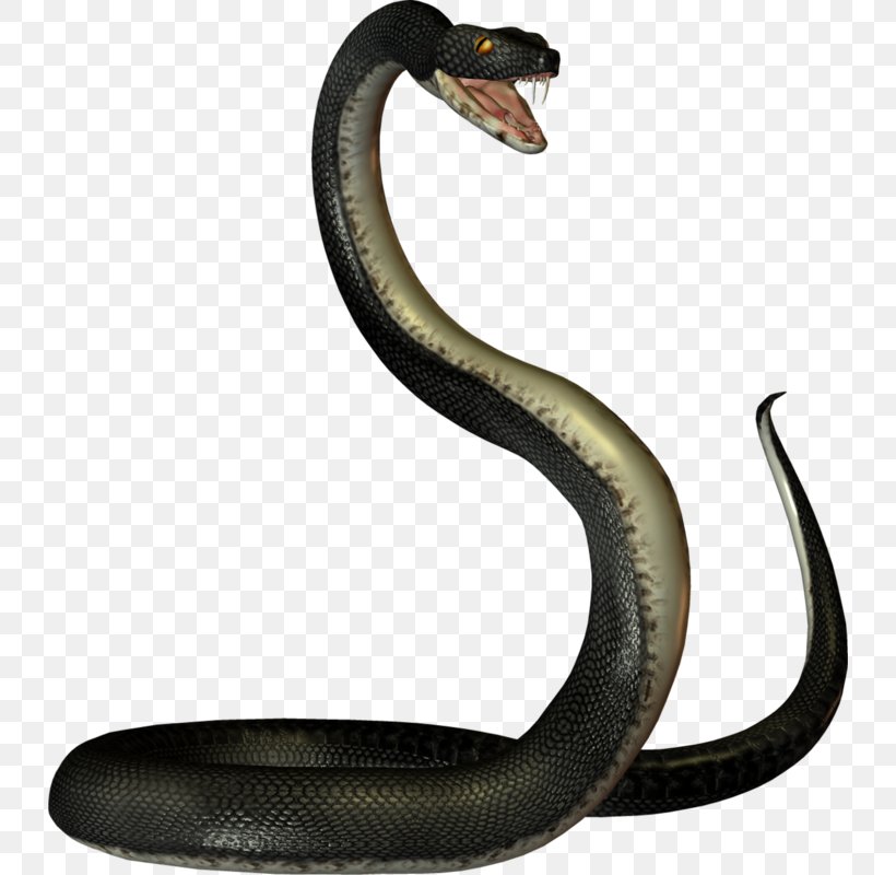 Mambas Snake, PNG, 732x800px, Mambas, Animal Figure, Cobra, Computer Software, Data Compression Download Free