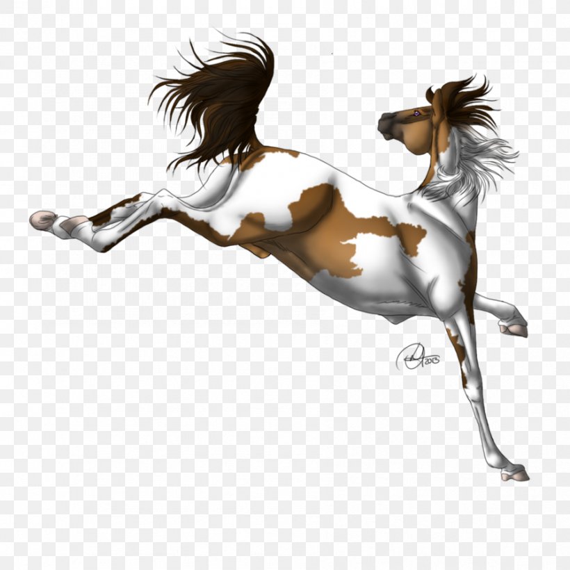 Mane Mustang Stallion Halter Pony, PNG, 894x894px, Mane, Art, Bridle, English Riding, Equestrian Download Free