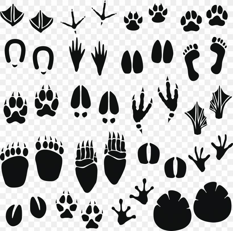 Raccoon Footprint Animal Track Clip Art, PNG, 4077x4043px, Raccoon, Animal, Animal Track, Black, Black And White Download Free