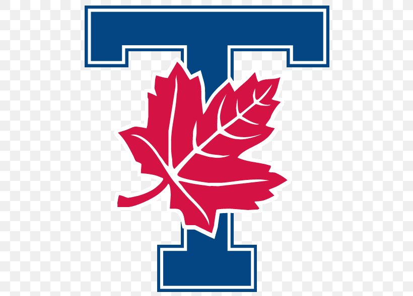 Toronto Varsity Blues Men's Soccer University Of Toronto Varsity Stadium Queen's University Toronto Varsity Blues Men's Ice Hockey, PNG, 513x589px, University Of Toronto, Area, Flower, Flowering Plant, Leaf Download Free