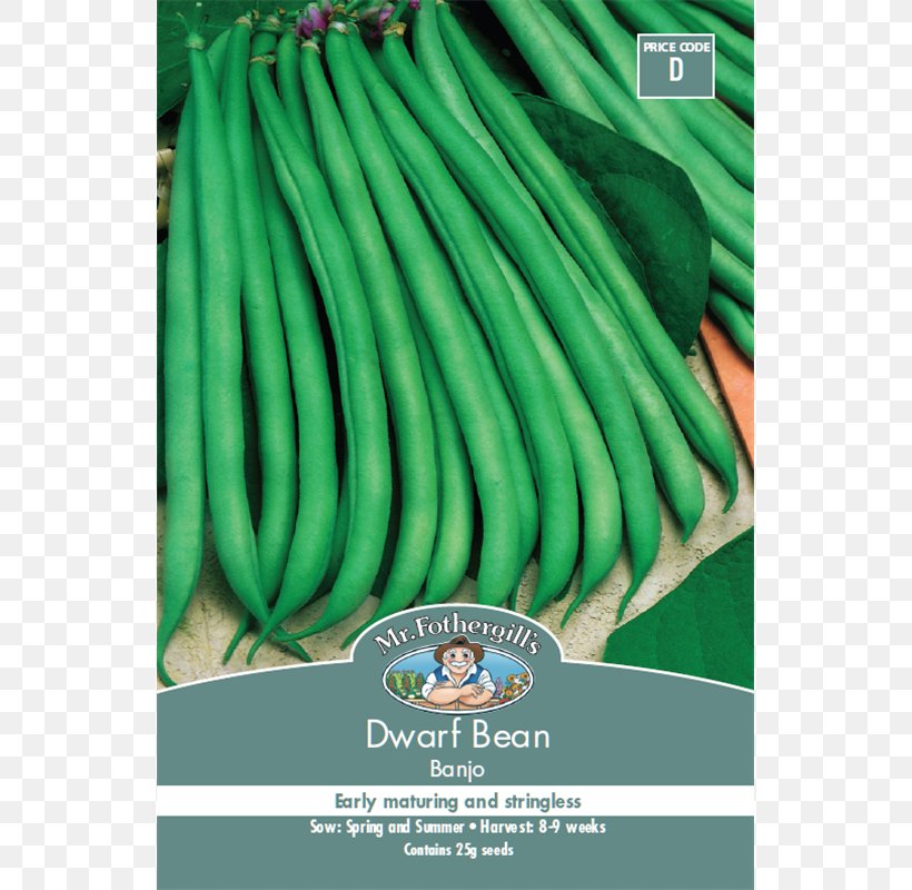 Basil Seed Green Marigold, PNG, 800x800px, Basil, Common Bean, Grass, Green, Marigold Download Free
