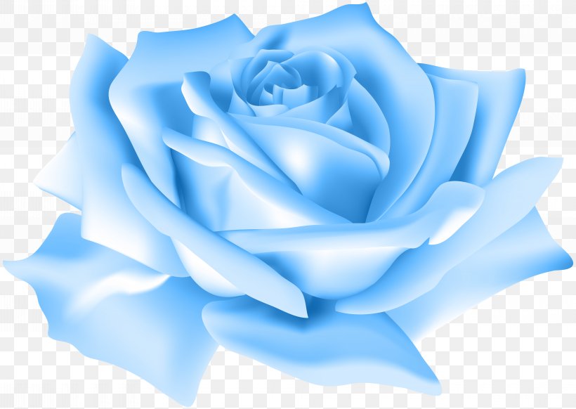 Blue Rose Flower Beach Rose Clip Art, PNG, 8000x5687px