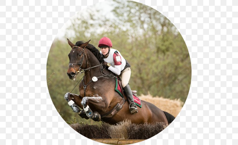 Eventing Equestrian Horse Hunt Seat Endurance Riding, PNG, 500x500px, Eventing, Animal Sports, Bridle, Cross Country Equestrianism, Crosscountry Equestrianism Download Free