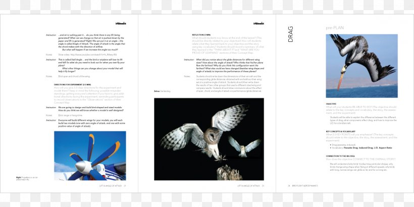 Graphic Design Owl Poster, PNG, 1160x580px, Owl, Advertising, Barn Owl, Brand, Brochure Download Free