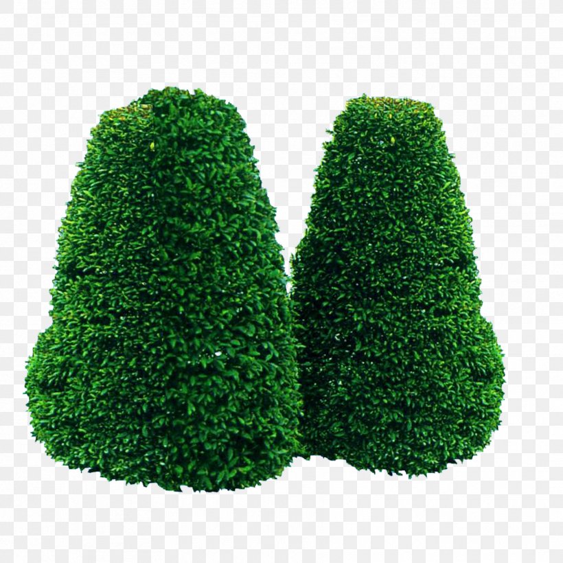 Tree Garden Green, PNG, 1772x1772px, Tree, Conifer, Evergreen, Fir, Flower Garden Download Free