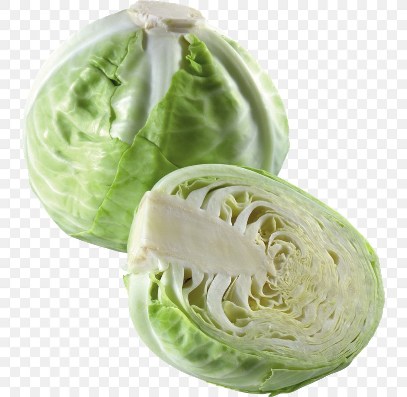 Cabbage Vegetable Clip Art Cauliflower, PNG, 731x800px, Cabbage, Cauliflower, Cruciferous Vegetables, Food, Image File Formats Download Free