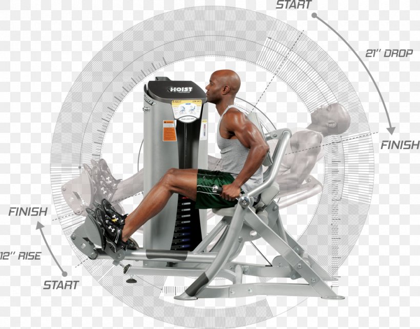 Elliptical Trainers Weight Training Exercise Fitness Centre Physical Fitness, PNG, 1000x786px, Elliptical Trainers, Aerobic Exercise, Arm, Biceps, Biceps Curl Download Free