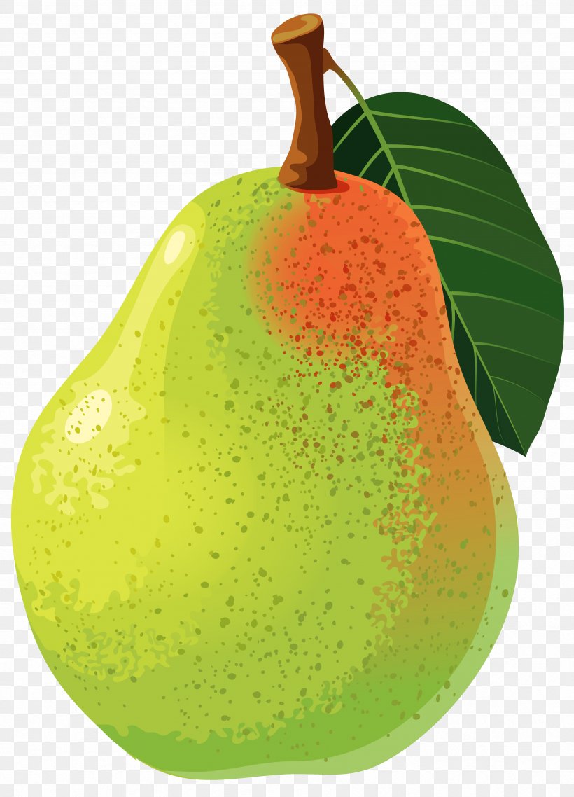 Asian Pear Clip Art, PNG, 3381x4695px, Pear, Apple, Avocado, Bosc Pear, Diet Food Download Free