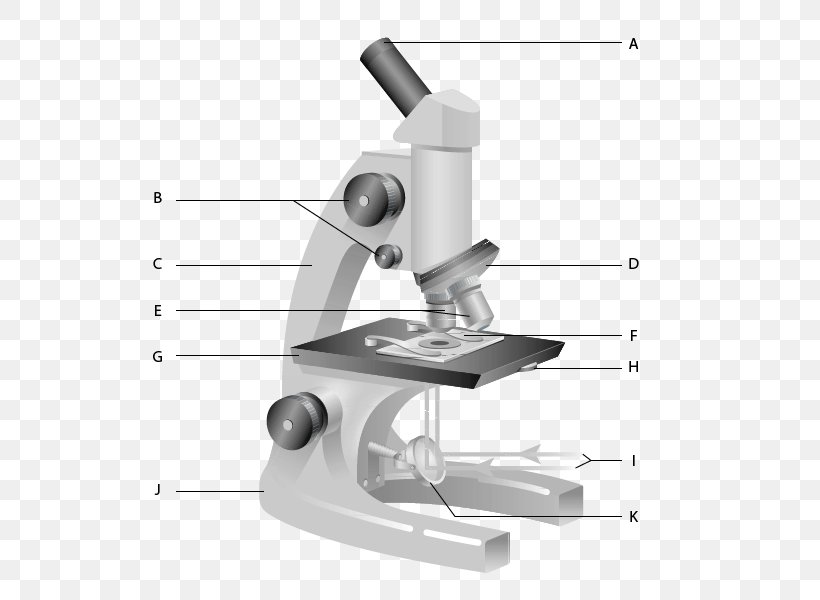 Carl Zeiss Microscopy Optical Microscope Worksheet Diagram, PNG, 600x600px, Carl Zeiss Microscopy, Anatomy, Cell, Diagram, Drawing Download Free