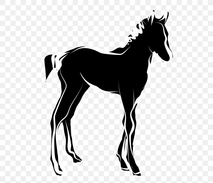 Donkey Cartoon, PNG, 706x706px, Foal, Arabian Horse, Blackandwhite, Colt, Decal Download Free