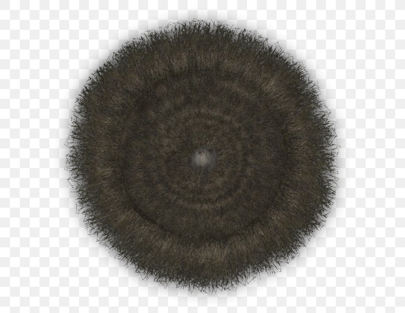 Fur Close-up Brown Circle, PNG, 640x633px, Fur, Brown, Closeup, Eye Download Free