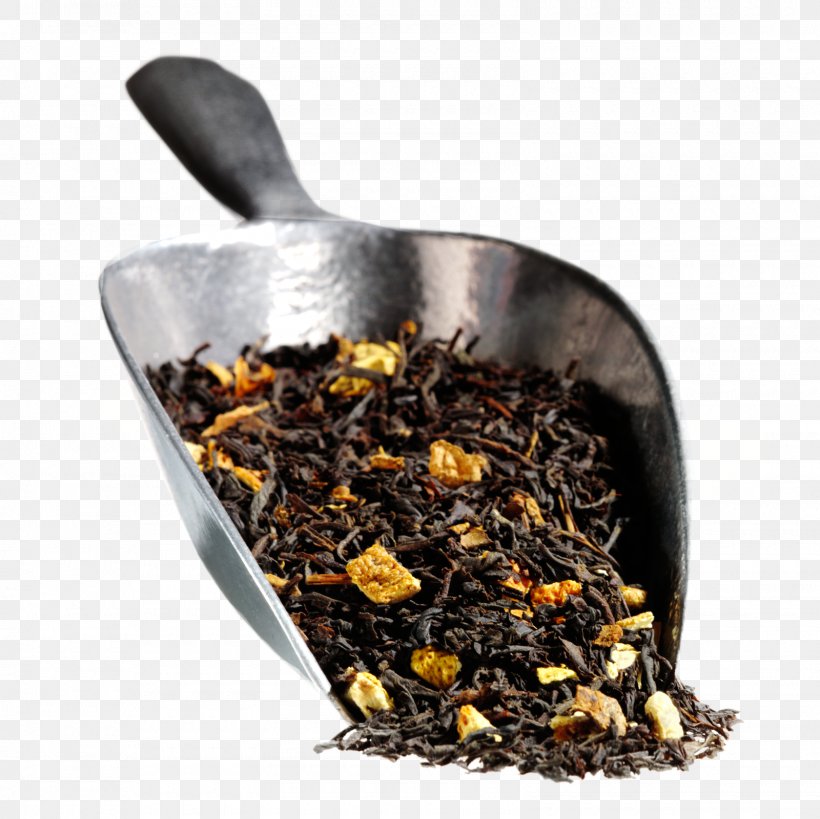 Nilgiri Tea Romeritos Hōjicha Mixture Tea Plant, PNG, 1600x1600px, Nilgiri Tea, Assam Tea, Ceylon Tea, Da Hong Pao, Darjeeling Tea Download Free