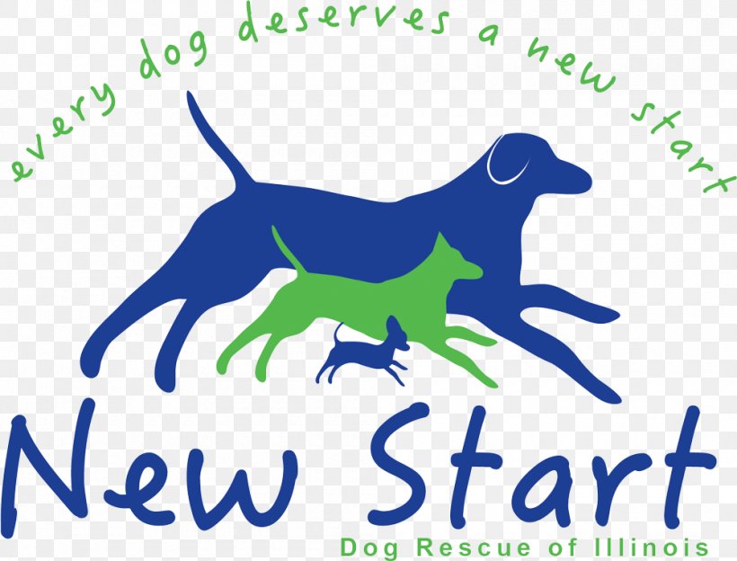 Dog Breed Puppy Animal Rescue Group Rescue Dog, PNG, 1000x761px, Dog Breed, Animal, Animal Rescue Group, Animal Shelter, Area Download Free