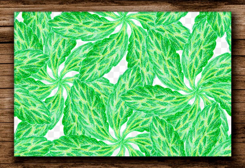 Plant Green Clip Art, PNG, 1160x796px, Plant, Designer, Flora, Grass, Green Download Free