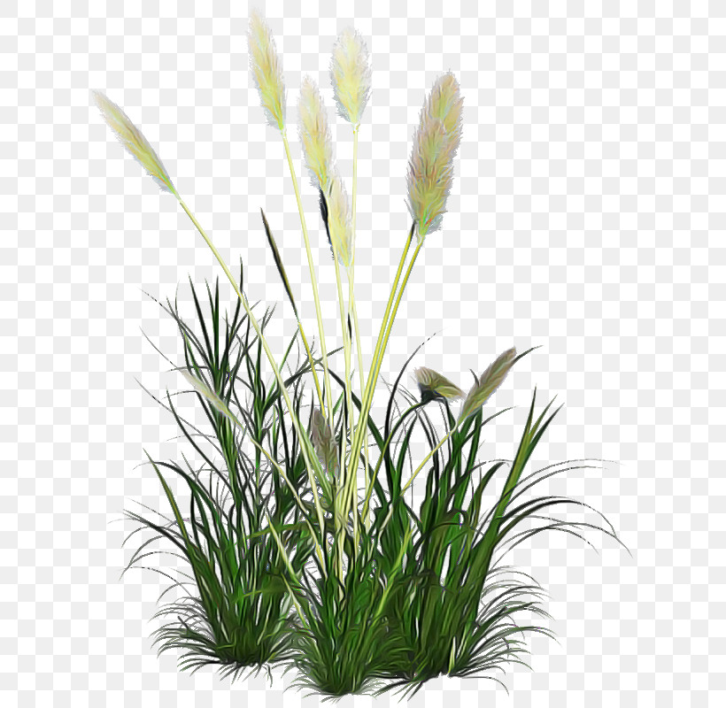 Artificial Flower, PNG, 648x800px, Flower, Aquarium Decor, Artificial Flower, Flowerpot, Grass Download Free