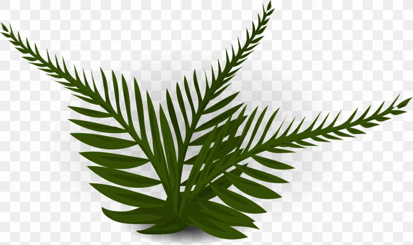 Burknar Leaf Plant, PNG, 1280x760px, Burknar, Animaatio, Drawing, Fern, Ferns And Horsetails Download Free