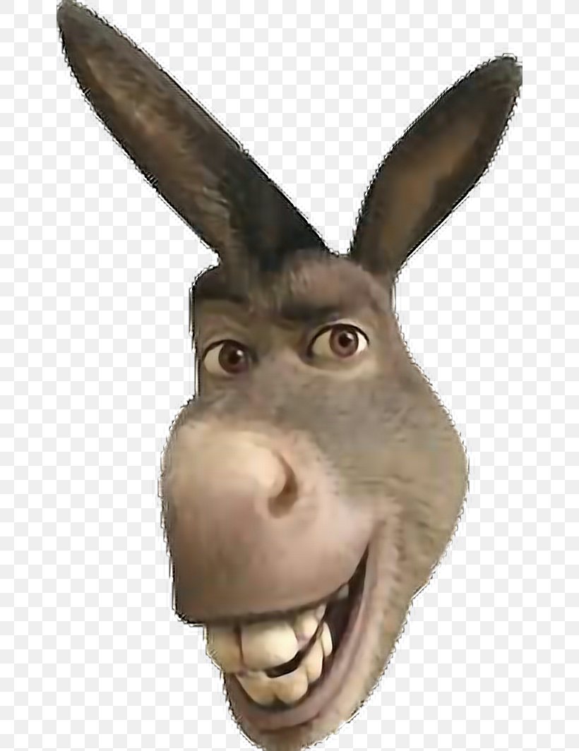 Donkey Princess Fiona Shrek Lord Farquaad Animation Png