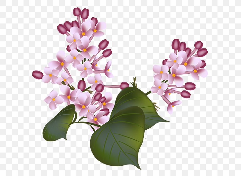 Flower Floral Design Clip Art, PNG, 600x600px, Flower, Blossom, Branch, Cut Flowers, Floral Design Download Free