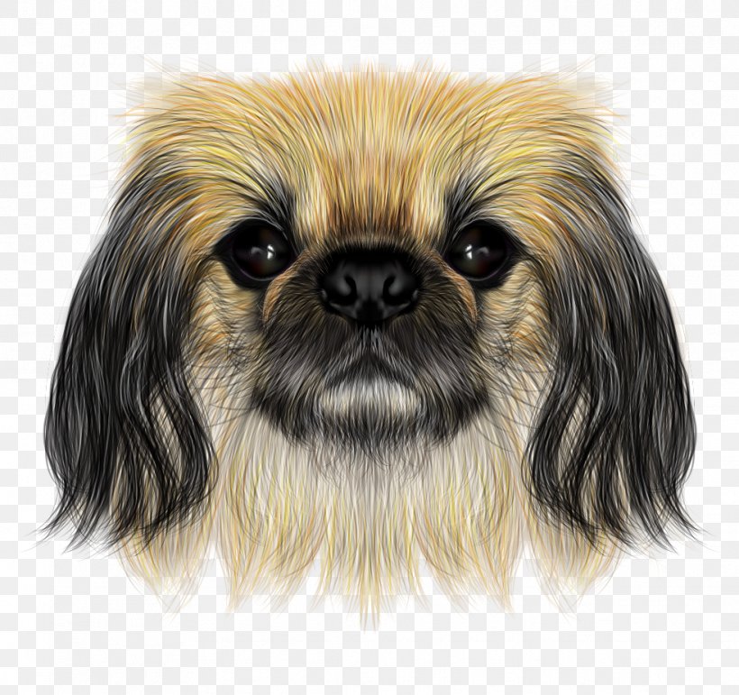 Shih Tzu Pekingese Yorkshire Terrier Chinese Crested Dog Puppy, PNG, 983x925px, Shih Tzu, Breed, Carnivoran, Chinese Crested Dog, Chinese Imperial Dog Download Free