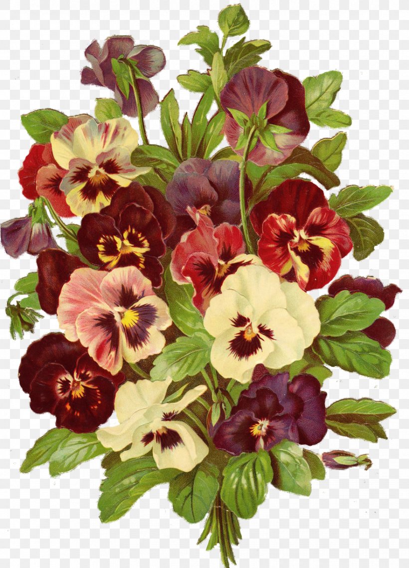 Cut Flowers Pansy Clip Art, PNG, 879x1221px, Flower, Annual Plant, Blume, Cut Flowers, Drawing Download Free