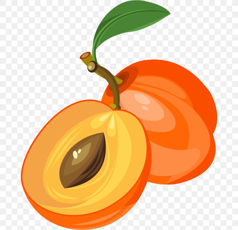 Euclidean Vector Fruit Clip Art, PNG, 678x794px, Orange, Apple, Apricot, Auglis, Calabaza Download Free