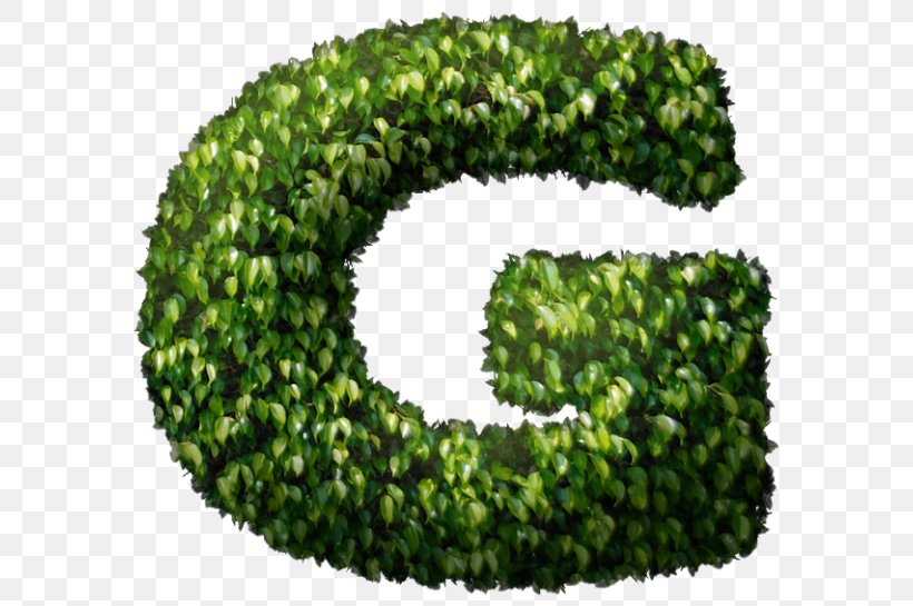 Green, PNG, 600x545px, Green, Grass, Shrub, Tree Download Free