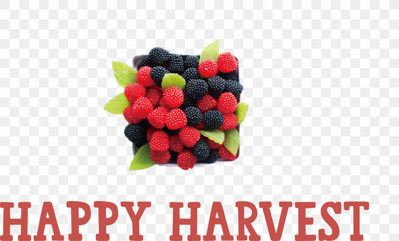 Happy Harvest Harvest Time, PNG, 2999x1813px, Happy Harvest, Berry, Blackberries, Blueberries, Brambles Download Free