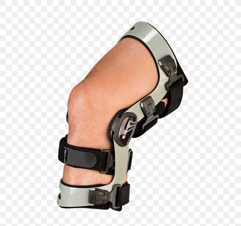 Knee Anterior Cruciate Ligament Posterior Cruciate Ligament Medial Collateral Ligament, PNG, 768x768px, Knee, Ankle, Anterior Cruciate Ligament, Arm, Breg Inc Download Free