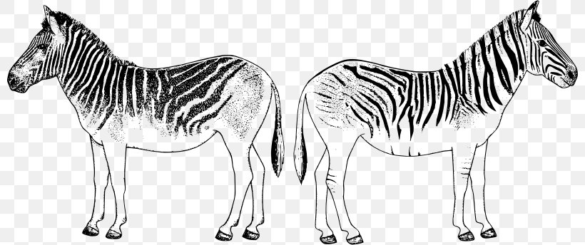 Quagga Zebra Clip Art, PNG, 800x344px, Quagga, Animal, Animal Figure, Black And White, Drawing Download Free