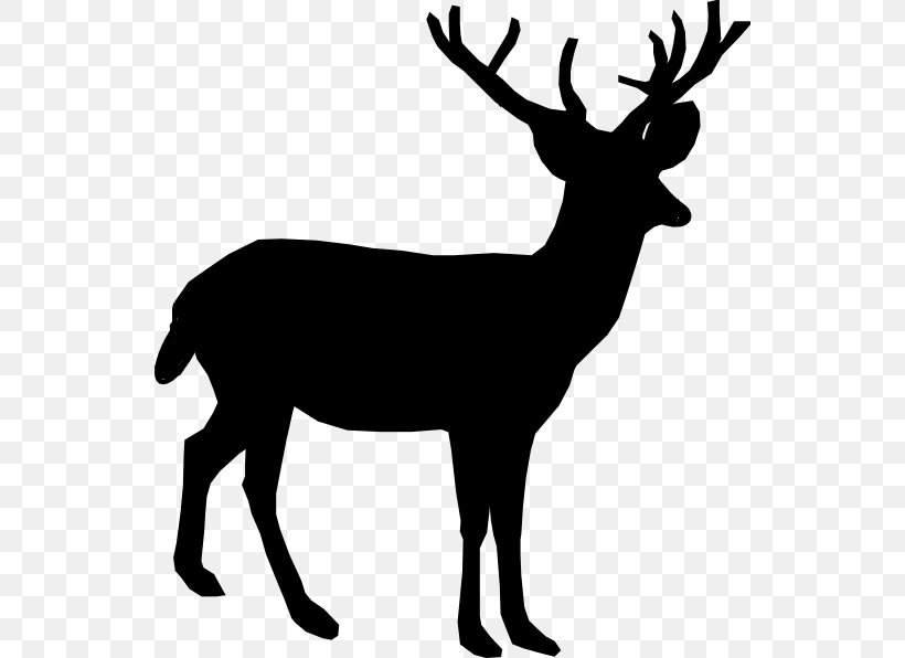 White-tailed Deer Reindeer Clip Art, PNG, 540x596px, Deer, Antler, Biggame Hunting, Black And White, Blog Download Free