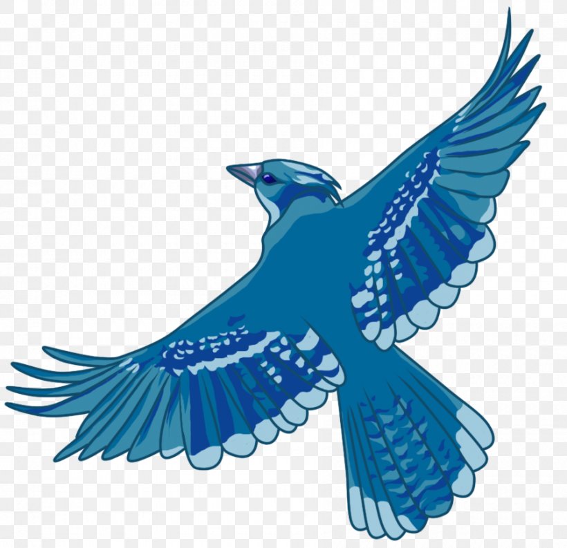 Beak Bird Of Prey Cobalt Blue Feather, PNG, 900x871px, Beak, Bird, Bird Of Prey, Blue, Cobalt Download Free
