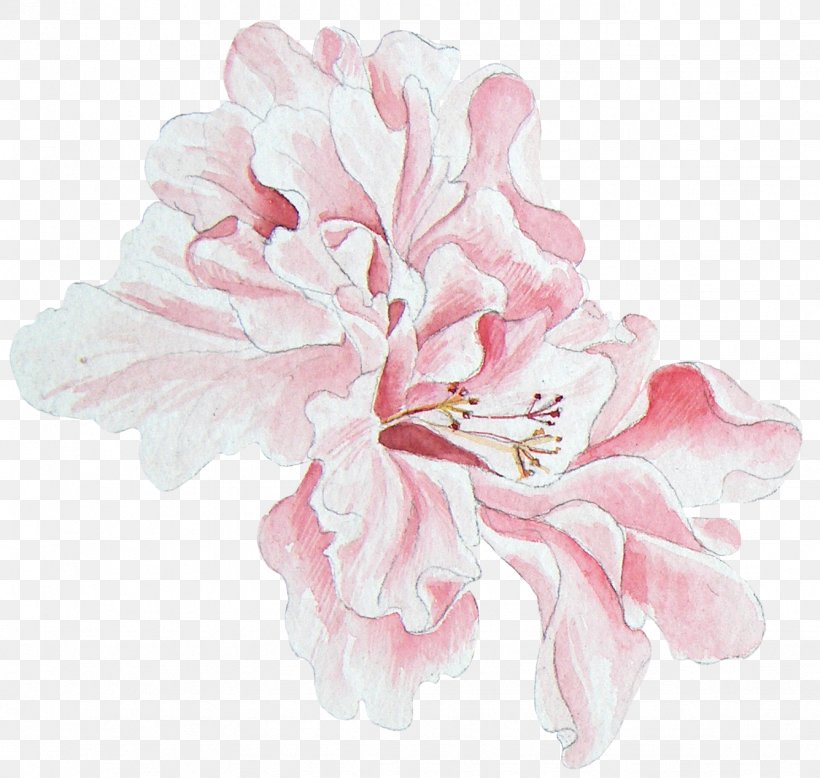 Peony Floral Design Watercolor Painting, PNG, 1336x1268px, Peony, Azalea, Blossom, Cherry Blossom, Cut Flowers Download Free