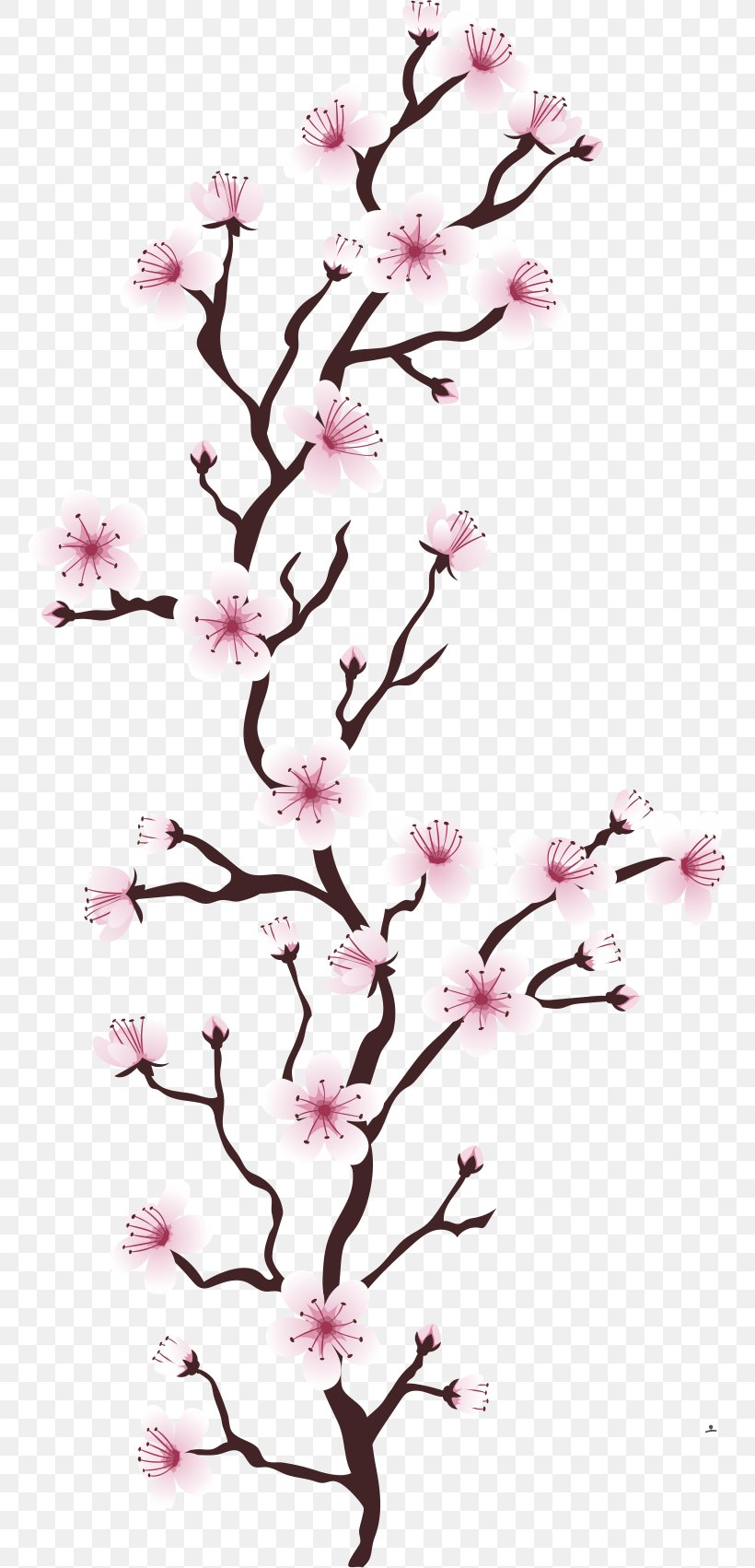 Cherry Blossom Flower Tree Euclidean Vector Cerasus, PNG, 759x1702px, Cherry Blossom, Blossom, Branch, Cerasus, Cherry Download Free