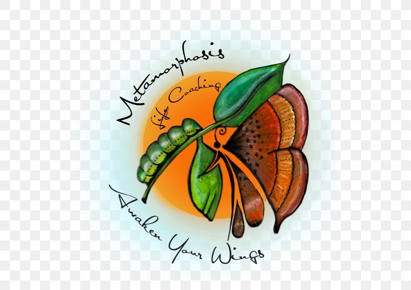 Naboomspruit, Limpopo Travel Mookgophong Local Municipality, PNG, 558x579px, Watercolor, Cartoon, Flower, Frame, Heart Download Free