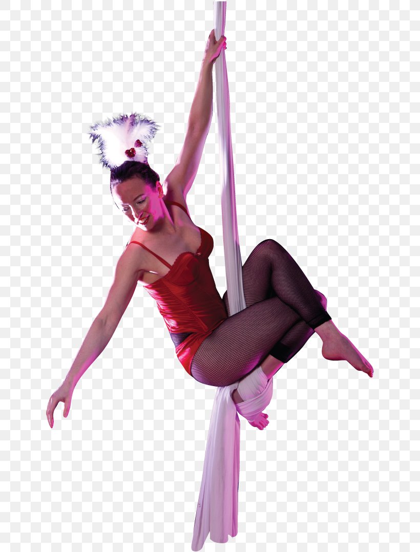 Dance Circus Aerial Silk Trapeze Artist, PNG, 646x1078px, Dance, Aerial Dance, Aerial Silk, Aerialist, Artist Download Free