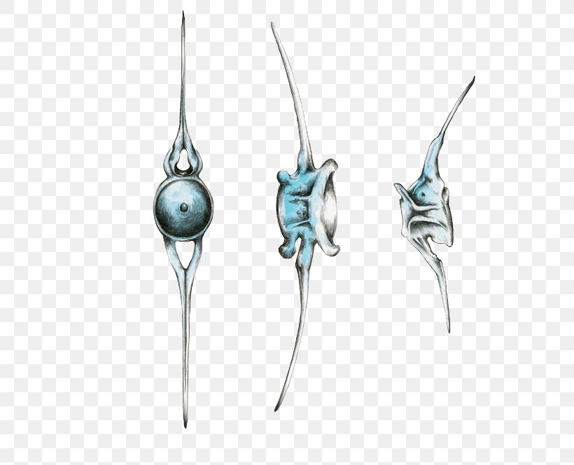 Earring Body Jewellery Turquoise Microsoft Azure, PNG, 661x664px, Earring, Body Jewellery, Body Jewelry, Earrings, Fashion Accessory Download Free