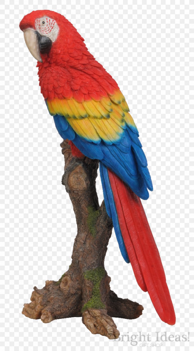 Parrot Bird Garden Ornament Garden Ornament, PNG, 1000x1805px, Parrot, Animal, Art, Beak, Bird Download Free