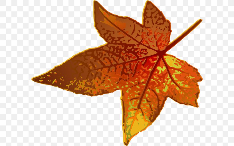 Maple Leaf Autumn Leaf Color Clip Art, PNG, 600x512px, Leaf, Autumn, Autumn Leaf Color, Green, Maple Download Free