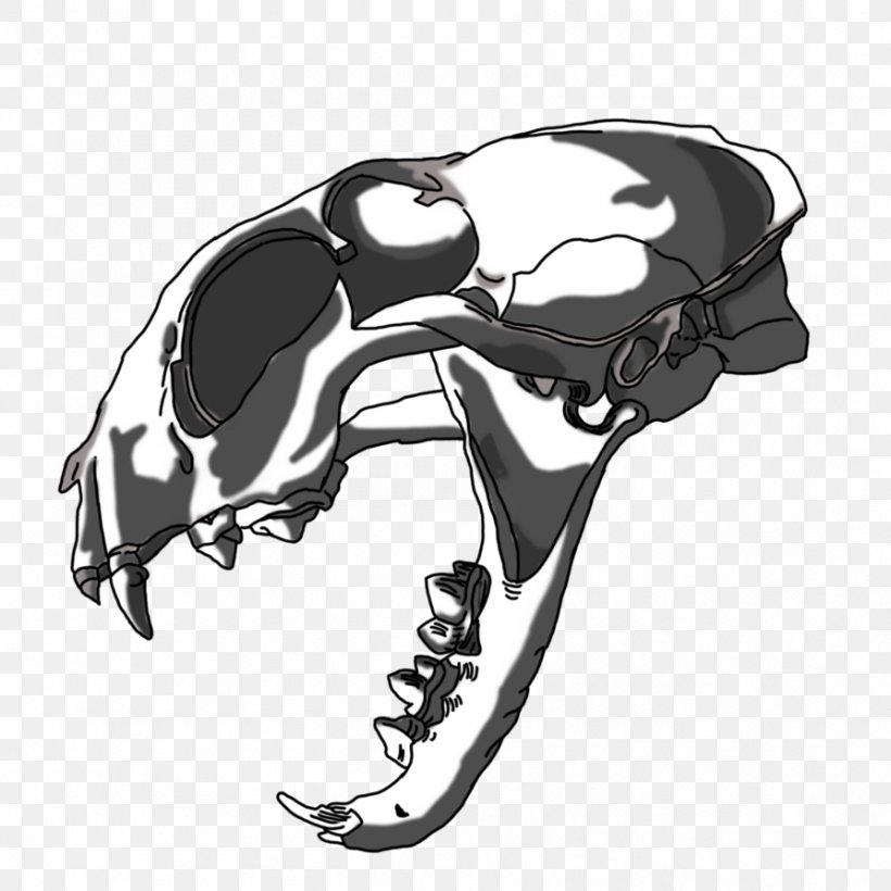 Skull Automotive Design Car Skeleton, PNG, 894x894px, Skull, Animated Cartoon, Automotive Design, Black And White, Bone Download Free