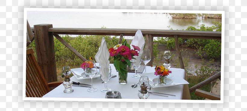 Souimanga Lodge Table Restaurant Sine-Saloum Hotel, PNG, 800x370px, Table, Accommodation, Bar, Bungalow, Cuisine Download Free