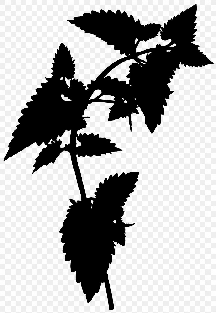Flowering Plant Silhouette Leaf Plants, PNG, 2421x3500px, Flower, Blackandwhite, Botany, Flowering Plant, Leaf Download Free