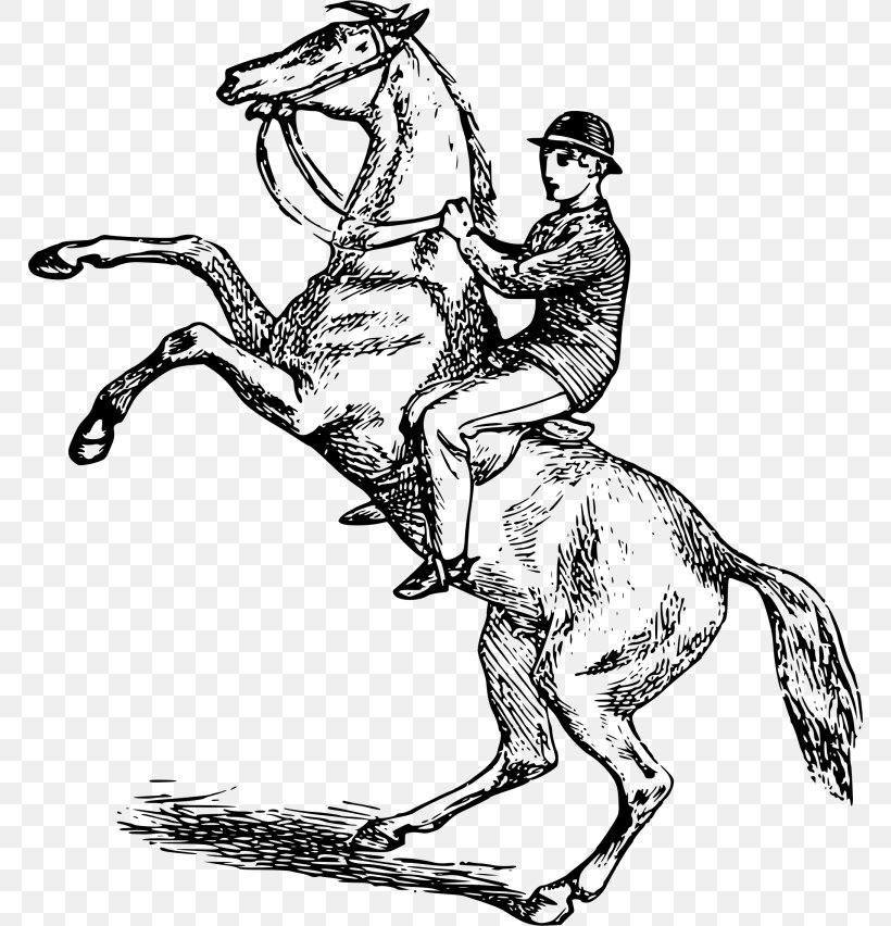 Horse Equestrian Rearing Clip Art, PNG, 768x852px, Horse, Art, Artwork, Black And White, Bridle Download Free