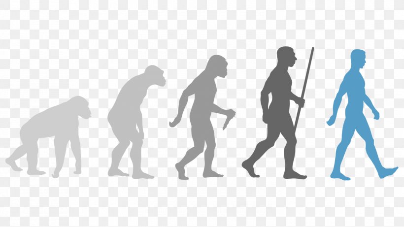 Human Evolution Wall Decal, PNG, 1500x844px, Evolution, Charles Darwin, Community, Conversation, Darwinism Download Free