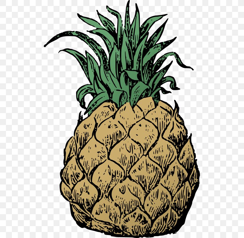 Pineapple Food Clip Art, PNG, 525x800px, Pineapple, Ananas, Berry, Bromeliaceae, Cartoon Download Free