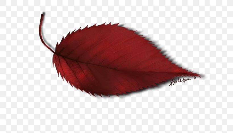 Leaf Petal, PNG, 800x468px, Leaf, Petal, Plant, Red Download Free