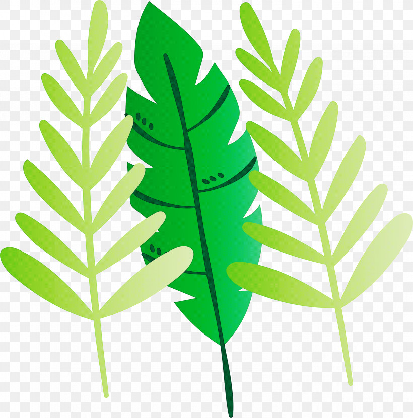 Leaf Plant Stem Vascular Plant Herbal Medicine Plants, PNG, 2957x3000px, Leaf, Biology, Herbal Medicine, Plant Stem, Plant Structure Download Free