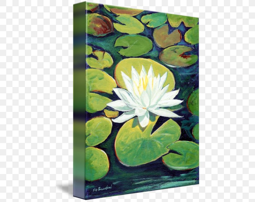 Painting Petal Flower Water Lilies Artist, PNG, 473x650px, Painting, Aquatic Animal, Aquatic Plant, Aquatic Plants, Art Download Free