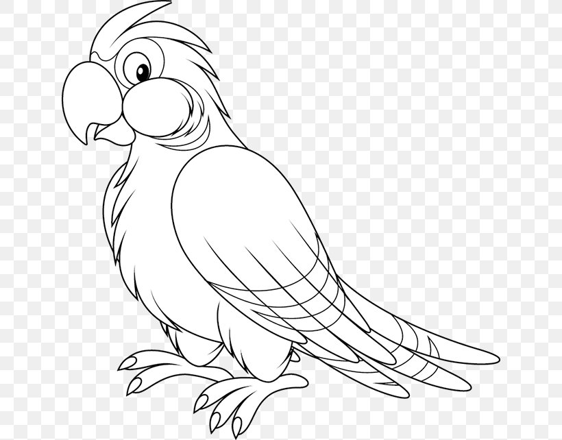 Parrot Clip Art Bird Image Black And White, PNG, 640x642px, Parrot