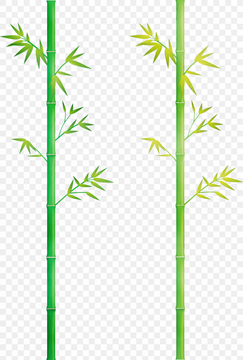 Plant Stem Plant Bamboo Grass Family American Larch, PNG, 2027x3000px, Bamboo, American Larch, Elymus Repens, Flower, Grass Family Download Free
